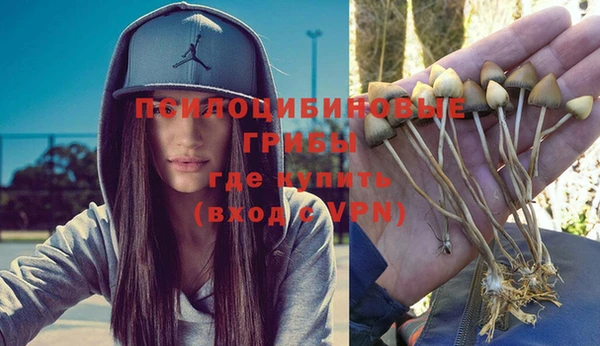mix Новодвинск