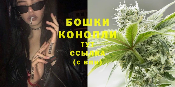 дмт Новозыбков