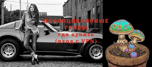 дмт Новозыбков