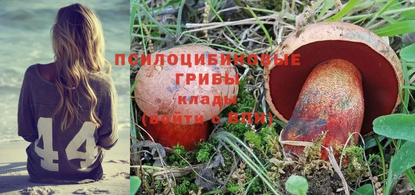 дмт Новозыбков