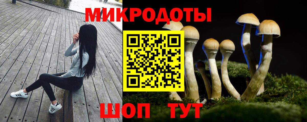Балабаново  Галлюциногенные грибы прущие грибы  Вход с VPN 