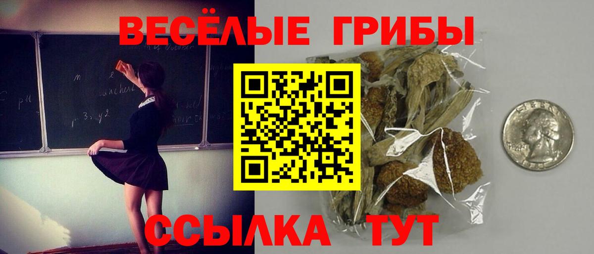 Псилоцибиновые грибы мухоморы Балабаново