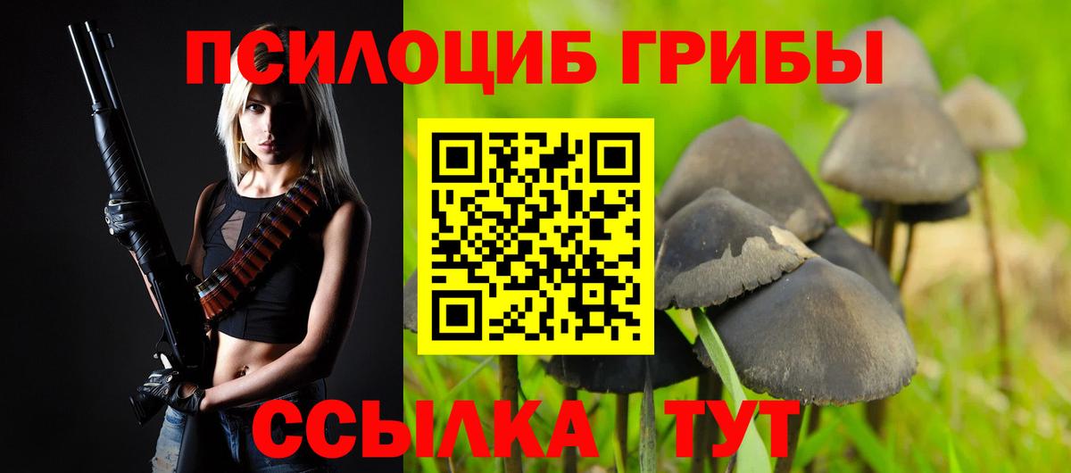 наркотики  Балабаново  Псилоцибиновые грибы мицелий  Галлюциногенные грибы прущие грибы 